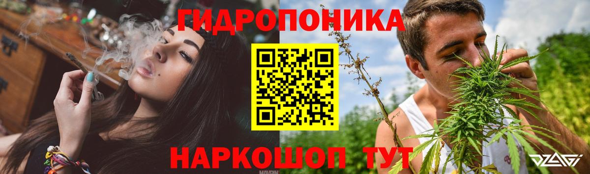 Бошки Шишки сатива Видное